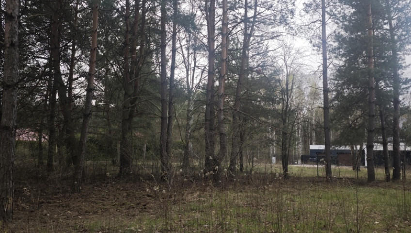 Działka Sprzedaż Wólka Kryształowa